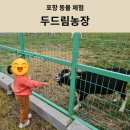 영신농장-1 | [포항 동물 체험] 포항 아이랑 가볼만한 곳 두드림농장 | 동물 먹이주기 체험 피크닉