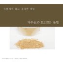 四字成語 총정리 &lt;ㄱ&gt; 62 가수산화물~가슬추연