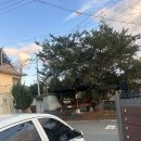 그해집 | 대구 근교 청도 촌캉스 가성비 독채 펜션 '그해집'