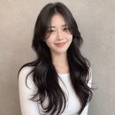 보그헤어 티스토리