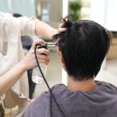 카시아미용실 | 삼성역 미용실 두피케어 에코쟈뎅 코엑스 삼성점 다인 디자이너 후기