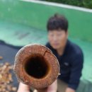개미상회 이미지