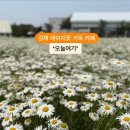 오늘 여기 이미지