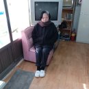 삼성이용소 Daum카페
