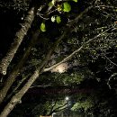 해돋이슈퍼 이미지