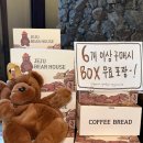 베어하우스 이미지