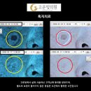 고운빛
