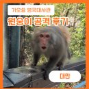 청구약국 - 광진구 아차산로 502 | 가오슝 영국대사관 야생원숭이공격 약국 병원 여행자보험청구 후기