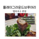 일산 원마운트 맛집 플레이그라운드브루어리 탭하우스 본점 후기