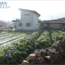안성리-10 네이버블로그