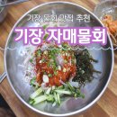 기장물회 : 기장 자매물회 싱싱한 물회맛집
