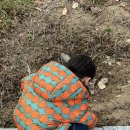 혁신웰치과의원 이미지