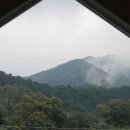 김제 늘숲 ~ 실내정원과온실 ~ 카페 이미지