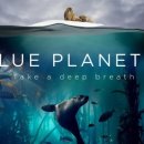 블루플래닛 이미지