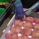 에덴농장 이미지