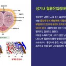조이텍 이미지
