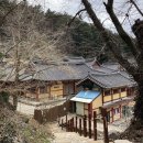 따뜻하고우아한삶스테이196 | 비불교인의 고성 옥천사 겨울 템플스테이 :예약 방법, 준비물과 절 밥 추천 후기.