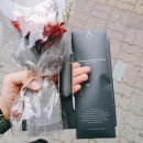 선아 이미지