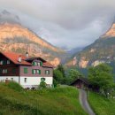 숲속 작은집2 이미지