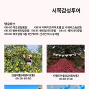 제주포인트투어 이미지