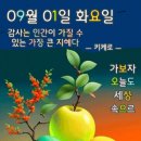 9월맞이! 금전문 활짝~열어주는 '황금 福두꺼비' 이미지