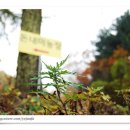 천비농장 이미지