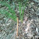 왕대포민박 이미지