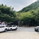아로니아펜션 이미지