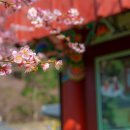 백양사(순천) 이미지