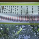 옛맛촌 | 전주 백반 맛집 옛맛촌, 가성비 최고 집밥 느낌 그대로