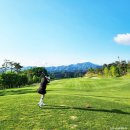 샤인데일 골프&리조트 | ⛳ 홍천 샤인데일CC 골프 라운드 후기