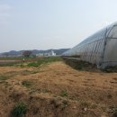 포항시남구61 이미지