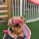 카페휴개 이미지