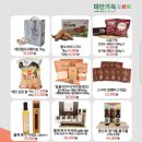 네스상사 이미지