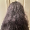 도영1호 이미지