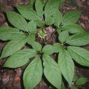 자연-탄생 이미지