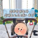 내돈내산 우리 아기 절충형 유모차 &lt;실버크로스 듄&gt;