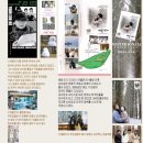 꿈의궁전 | 강원팔경