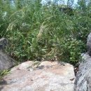 곡성-171 이미지