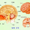 마시와 이미지
