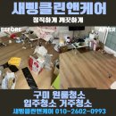 구미장 | 구미 고양이 거주 원룸 청소 사례, 냄새 제거 및 내부 상태 확인