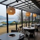 소나무향기 이미지