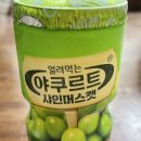 애견용품시장
