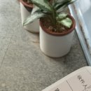 심천우체국 네이버블로그