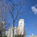 신나무실육교 이미지