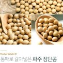 베르지오 이미지
