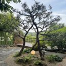 혜원가든 | #펜션혜원 방문기:나의 쉼을 핑계로 엄마와 춘천 1박2일 여행!(언니의 독박육아는 덤)