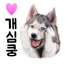 태경합동공인중개사사무소 이미지
