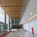 동탄맛집 찐 뉴욕 감성더타코부스 동탄금강IX타워점 후기