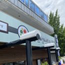 김밥일번지 사파 이미지